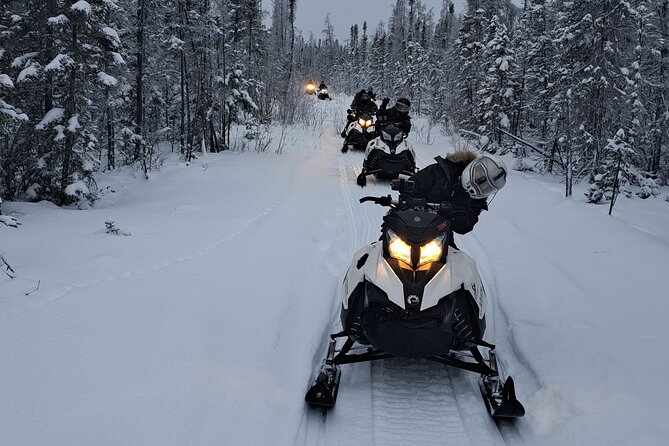 Guided Snowmobile Adventure - Into the forest trails