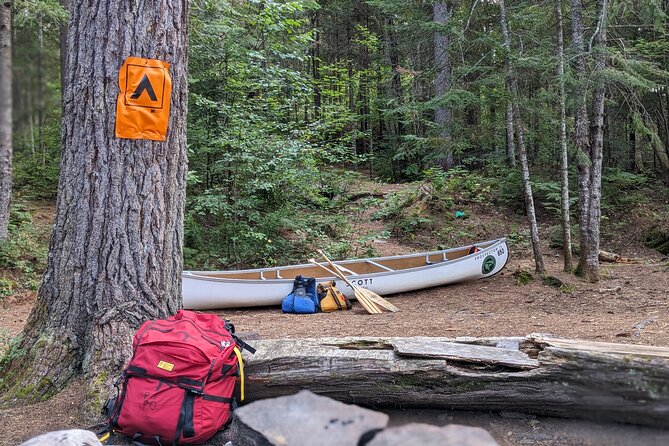 Guided Tours Algonquin Park - Lunch is part of the eight-hour day