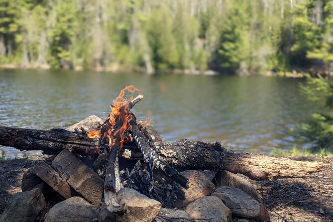 Guided Tours Algonquin Park - Why the small group changes the experience