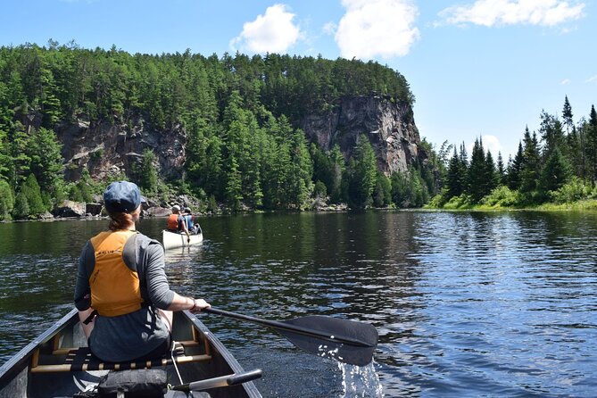 Guided Tours Algonquin Park - The value of $93.36 per person