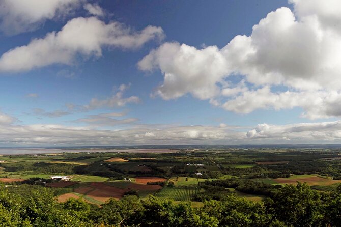 Half-Day Small-Group Tour of Annapolis Valley - Blomidon Look-Off and wide Minas Basin views