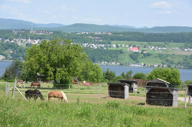 Half-Day Trip to Montmorency Falls and Ste-Anne-de-Beaupré from Quebec city - Albert Gilles Copper Art & Museum