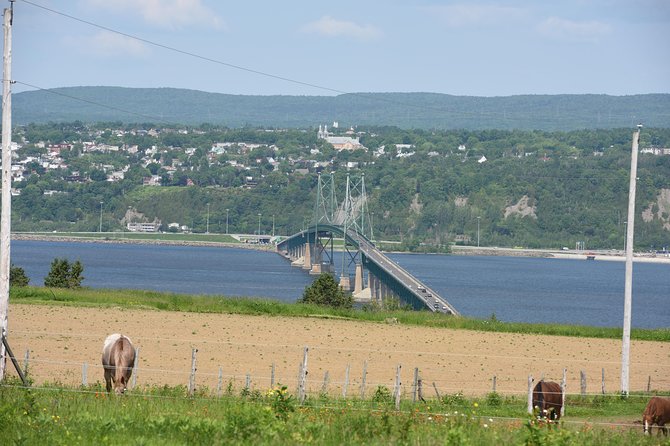 Half-Day Trip to Montmorency Falls and Ste-Anne-de-Beaupré from Quebec city - Chocolaterie de l’Île d’Orléans: a short stop with a good view