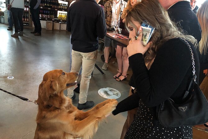 Half-Day West Kelowna Afternoon Wine tour - Timing, booking, and the cancellation rule