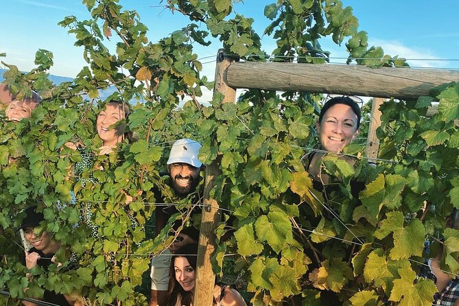 Half-Day West Kelowna Afternoon Wine tour - What the 45-minute winery visits feel like