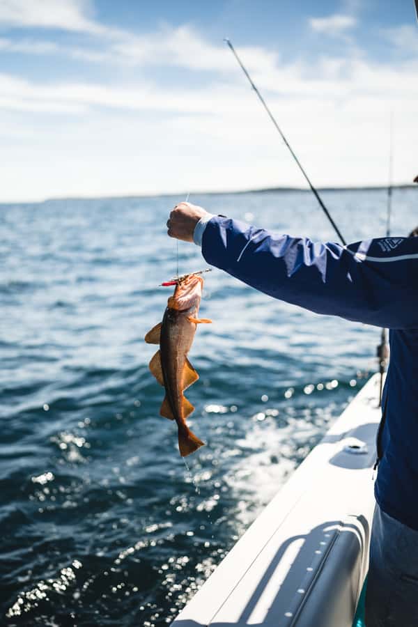 Halifax: 2-Hour Deep Sea Fishing Tour - Who will enjoy this Halifax fishing trip?