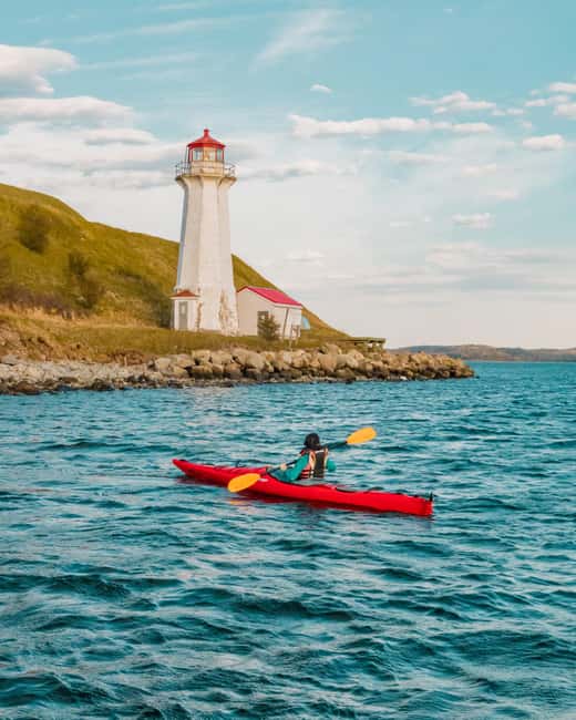 Halifax: Guided Kayak Tour with Multiple Options - Halifax Harbour from the seat of a kayak