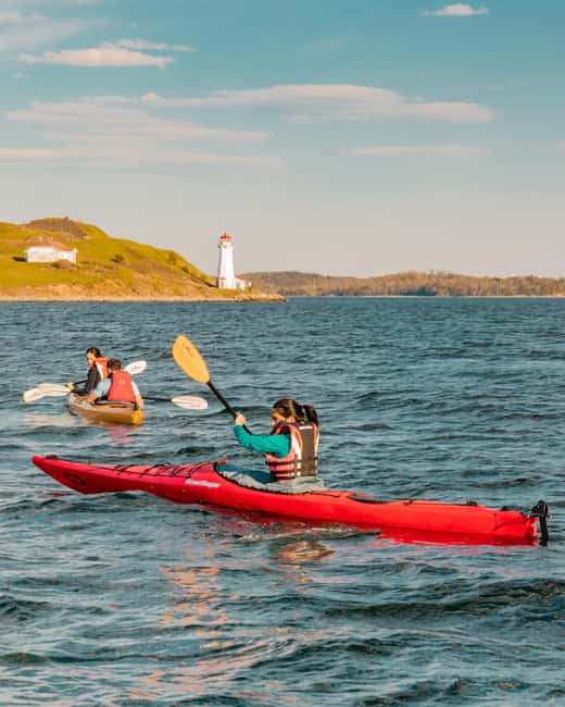Halifax: Guided Kayak Tour with Multiple Options - Who should book this kayak tour