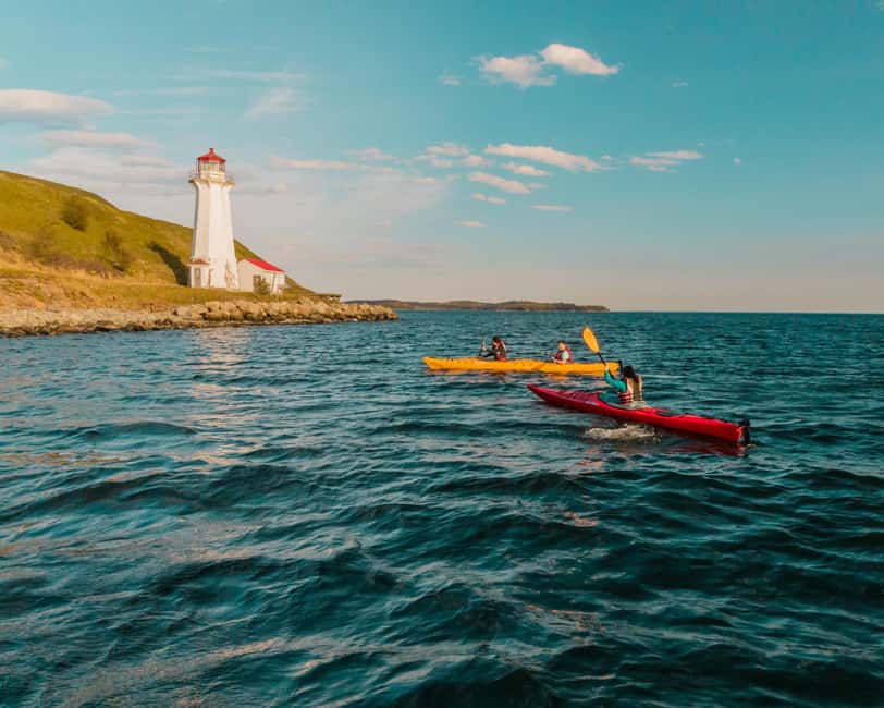 Halifax: Guided Kayak Tour with Multiple Options - What the 90-minute classic tour feels like