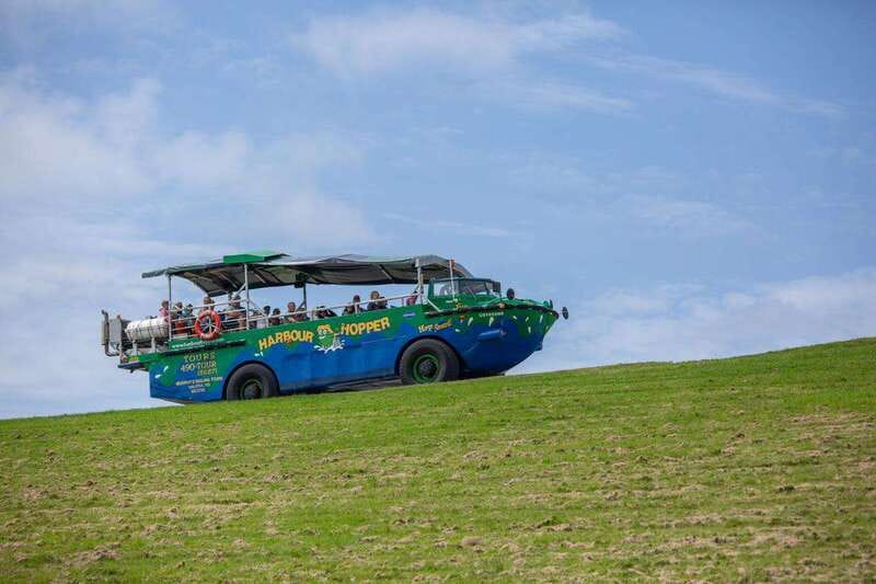 Halifax: Harbour Hopper City & Water Cruise in a Duck Boat - Is the Harbour Hopper worth booking?