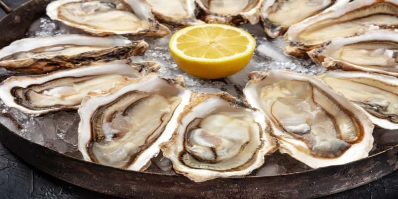 Halifax Harbourfront Food Walking Tour - Why this Halifax food walk works so well