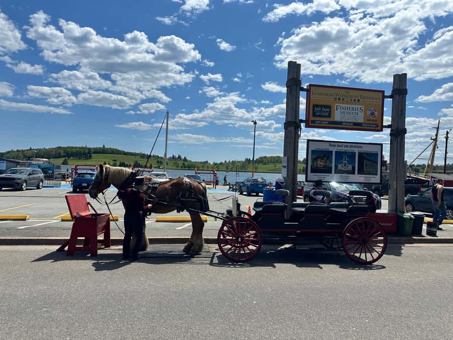 Halifax: Lunenburg and Mahone Bay Private Tour - Should you book the Lunenburg and Mahone Bay tour?