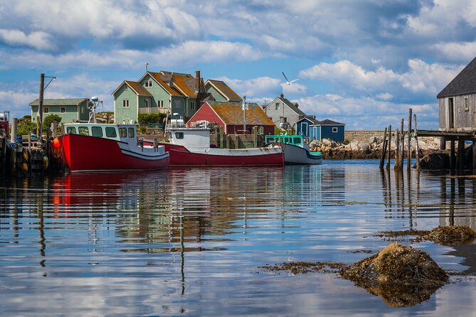 Halifax Peggy’s Cove Express - Key points to know before booking