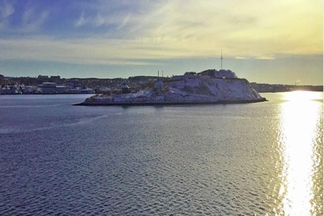 Halifax Shore Excursion: Peggy's Cove Half Day Tour - Who should book this half-day outing