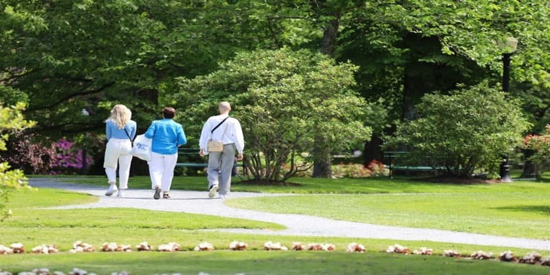 Halifax: Small Group Walking Tour with Citadel & Museum - Key points at a glance