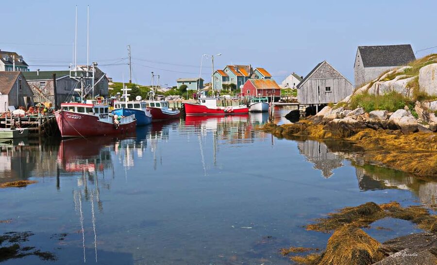 Halifax: South Coast Nova Scotia Private Day Tour - Key points to know before booking