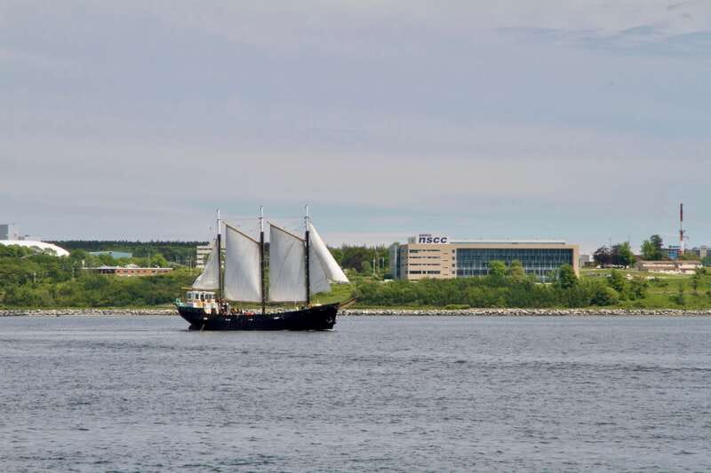 Halifax: Tall Ship Harbor Sailing Cruise with Live Music - Weather, comfort, and practical limits