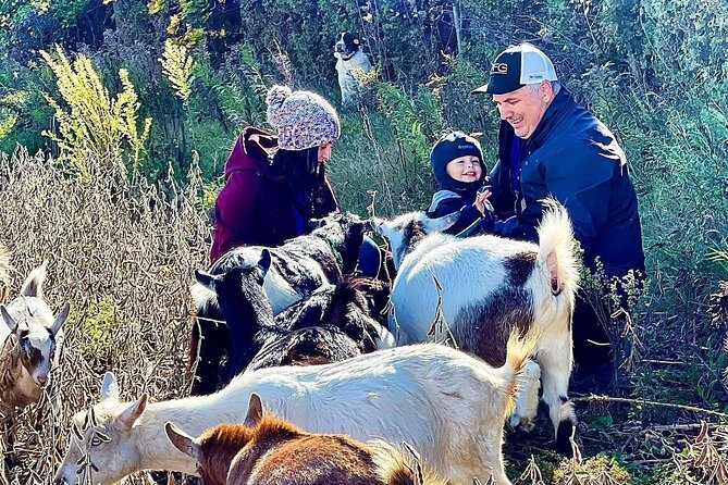 Haute Goat Shmurgle in Ontario - Key points to know before you book