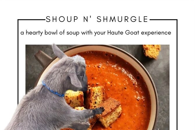 Haute Goat Shmurgle in Ontario - The Goat Playground and close contact
