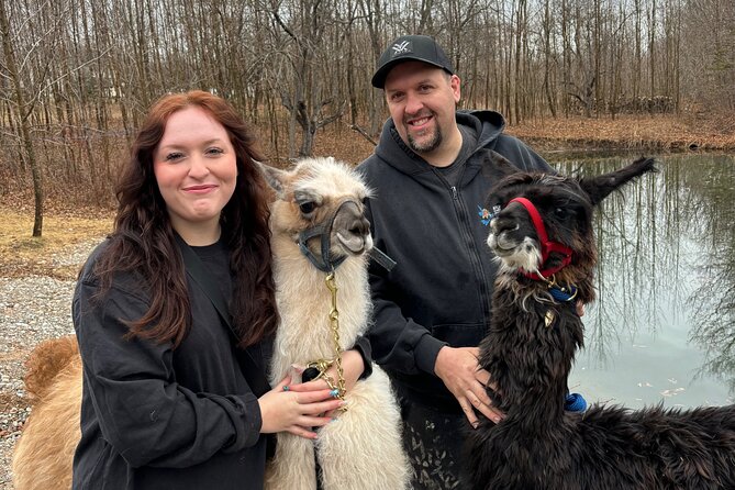 Hike & Lunch with Llamas - Key points at a glance