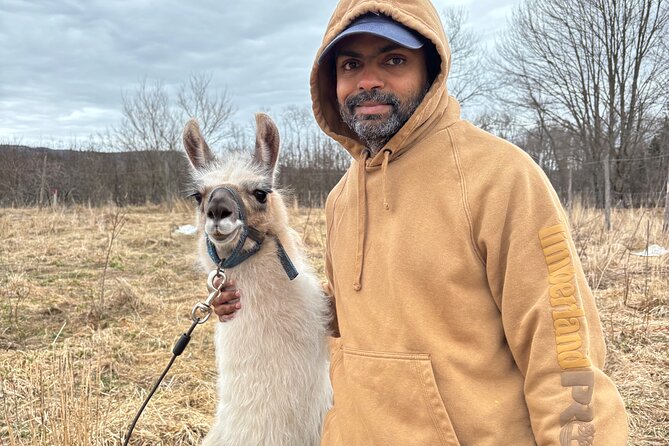 Hike & Lunch with Llamas - A farm visit that slows the clock