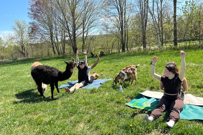 Hike & Lunch with Llamas - Wood-fired pizza among the llamas