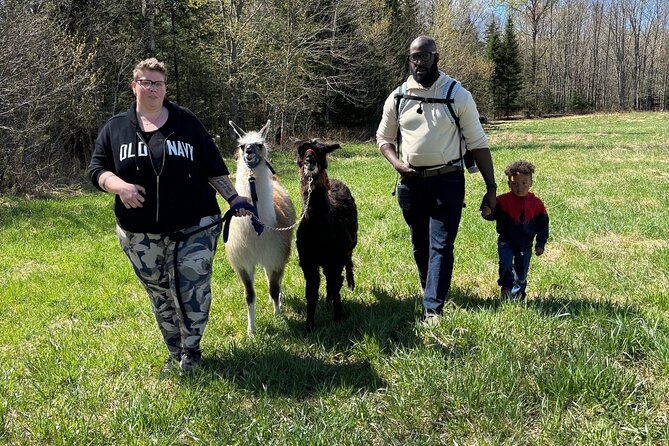 Hike & Lunch with Llamas - Who will enjoy this most?
