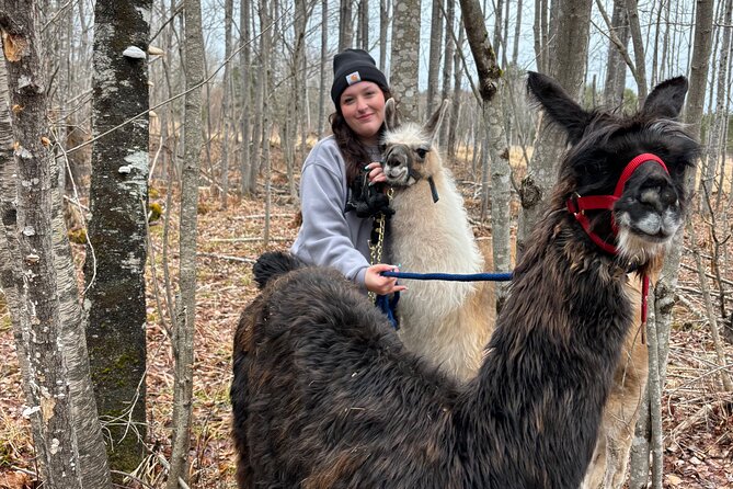 Hike & Lunch with Llamas - Walking with llamas and goats