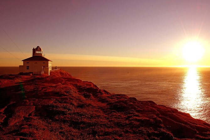 Historic St. John's Newfoundland and Cape Spear Tour - What makes this St. John’s tour worth considering