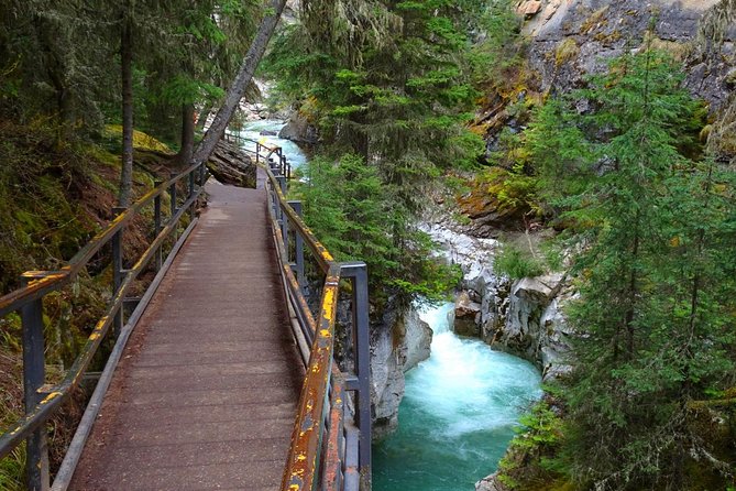 Hop-On and Hop-Off Banff Bus - Comfort, accessibility, and what to bring
