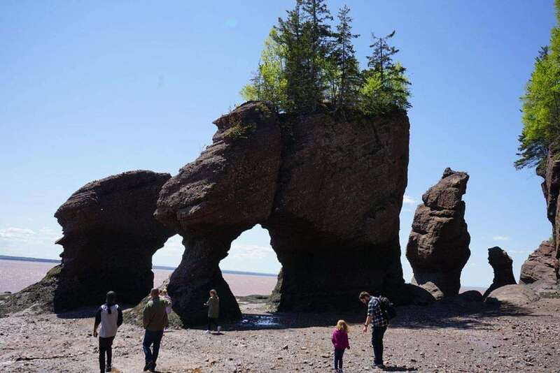 Hopewell Cape: Hopewell Rocks Admission - Key points to know before you go