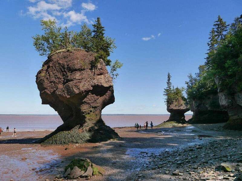 Hopewell Cape: Hopewell Rocks Admission - Start at the Interpretive Centre