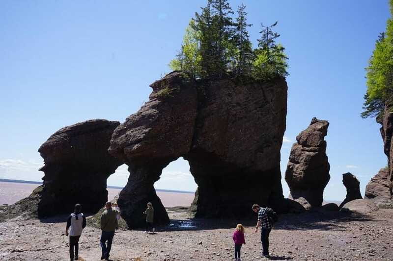 Hopewell Cape: Hopewell Rocks Admission - Trails, lookouts, and the shuttle option