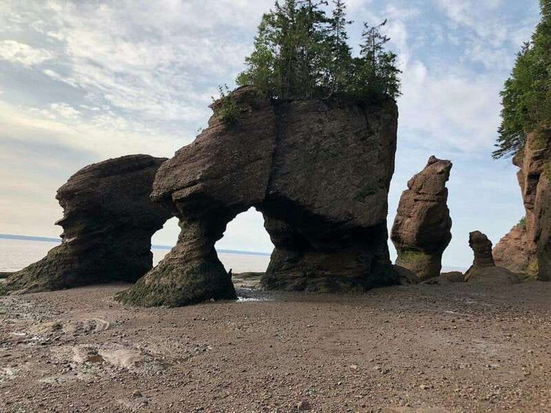 Hopewell Cape: Hopewell Rocks Admission - The flowerpots, from Elephant to Mother-in-Law
