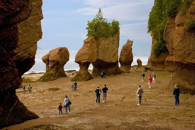 Hopewell Rocks Admission - Key points to know before you go
