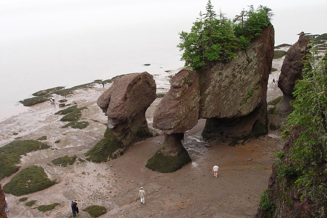 Hopewell Rocks Admission - Why Hopewell Rocks is worth seeing