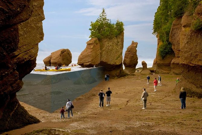 Hopewell Rocks Admission - Walking on the ocean floor at low tide