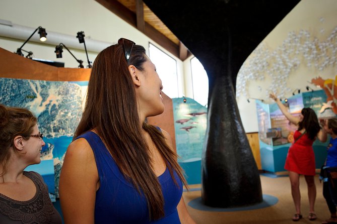 Hopewell Rocks Admission - How much time and fitness you need