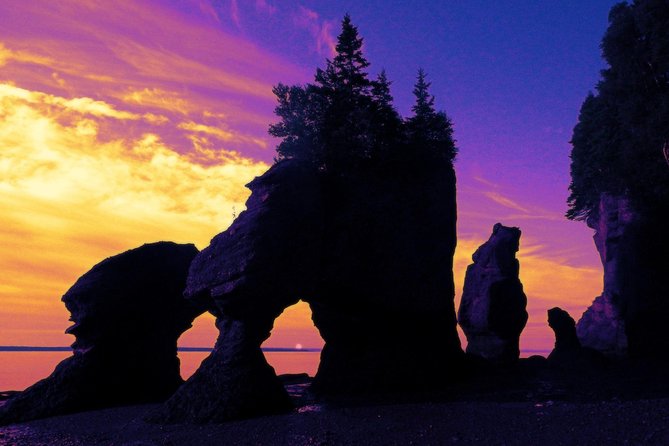 Hopewell Rocks Admission - When to visit and what to bring