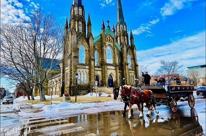 Horse Drawn Historical Guided Tour - Starting at the 1864 Confederation Site