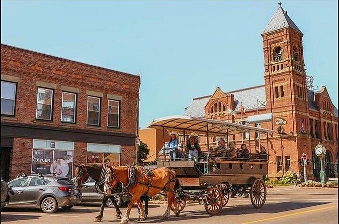 Horse Drawn Historical Guided Tour - Why the Slow Pace Works