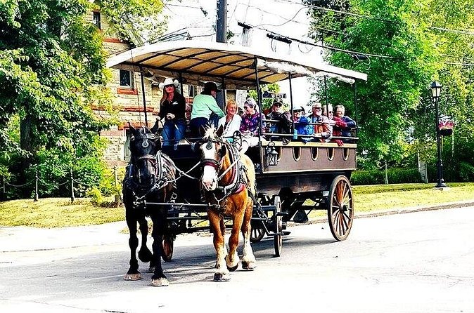 Horse Drawn Historical Guided Tour - Price and Value at $37.47