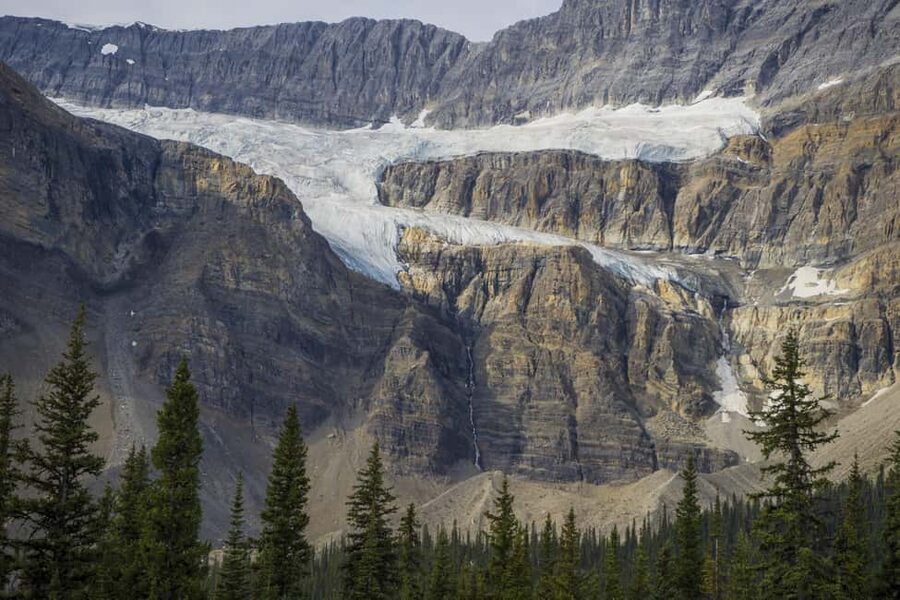 Icefield: Bow Lake, Columbia Icefield, Peyto Lake Day Tour - Who will get the most from this Rockies day