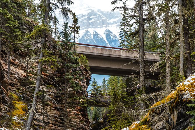 Icefields Parkway: a Smartphone Audio Driving Tour - Who should book this Icefields Parkway tour?