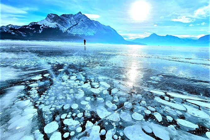 Icefields Parkway and Abraham Lake Bubbles Private Tour - Key details before you book