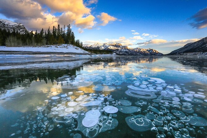 Icefields Parkway and Ice Bubbles of Abraham Lake Adventure - Who will enjoy this tour most