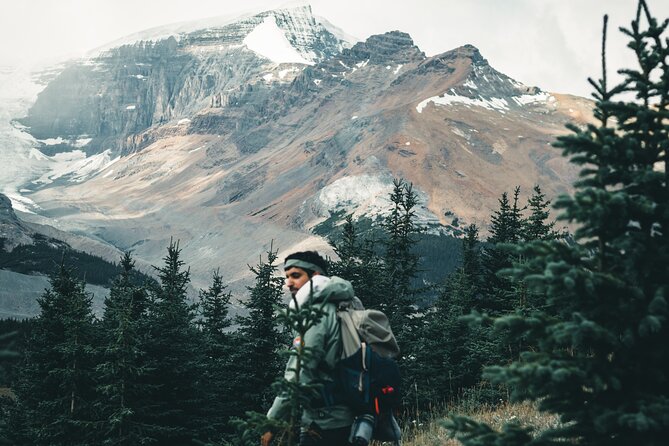 Icefields Parkway Highlights & Secrets | Award-Winning Adventure - Should you book the Icefields Parkway Highlights and Secrets tour?