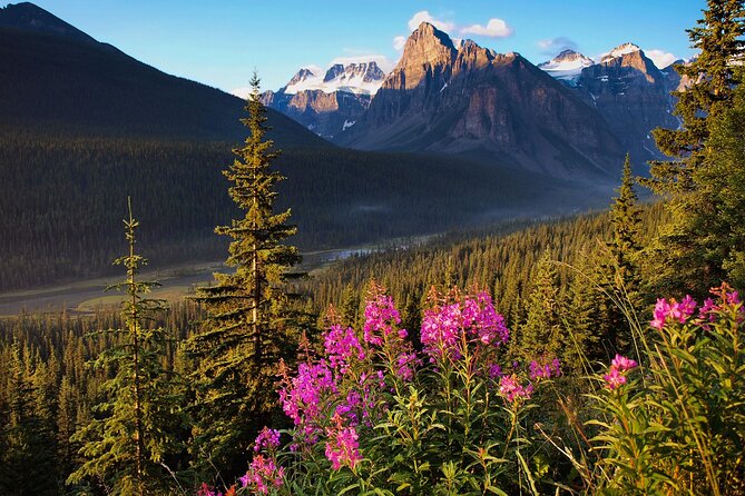 Icefields Parkway Self-Guided Driving Audio Tour - Glacier walks for different ability levels