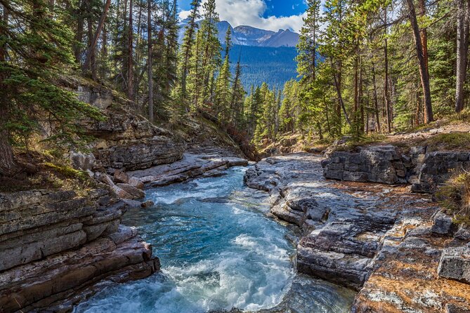 Icefields Parkway Self-Guided Driving Audio Tour - Who should book it