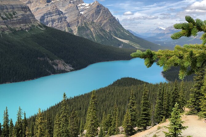 Icefields Pkwy: Lake Louise | Bow | Peyto|Glacier - PRIVATE TOUR - Mistaya Canyon adds movement and sound